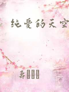 纯爱的天空