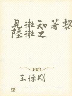 见微知著黎见卿陆微之