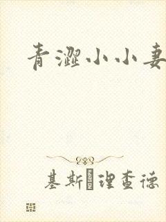 青涩小小妻