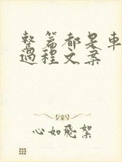 整篇都是车的肉过程文案