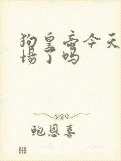 狗皇帝今天火葬场了吗