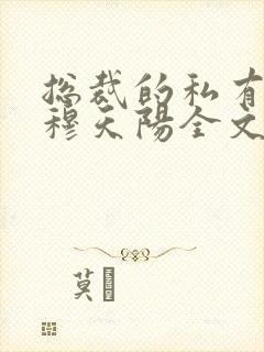 总裁的私有宝贝穆天阳全文阅读