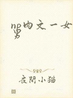 np肉文一女多男
