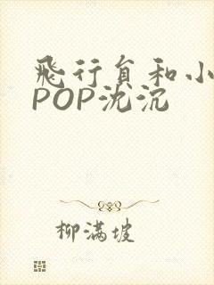 飞行员和小空乘POP沈沉