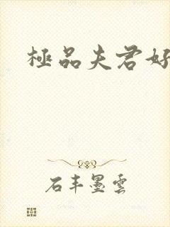 极品夫君好又多