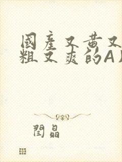 国产又黄又猛又粗又爽的A片小说