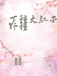 下种大肚子怀孕野种