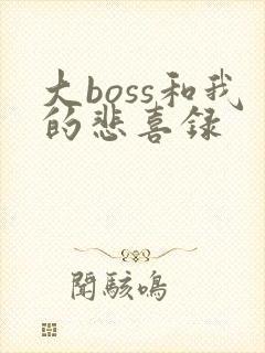大boss和我的悲喜录