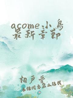 acome小鸟最新章节