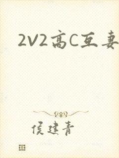2V2高C互妻