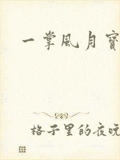 一掌风月宝鉴