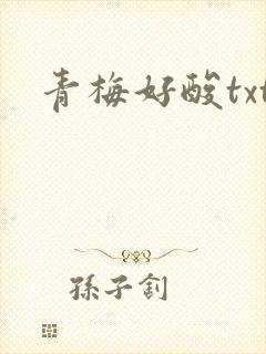 青梅好酸txt