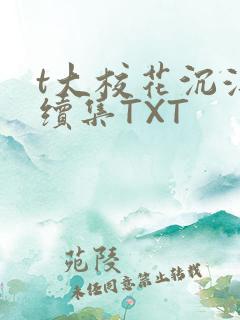 t大校花沉浮录续集TXT