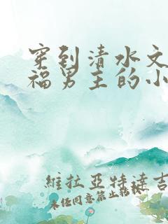 穿到清水文里造福男主的小说