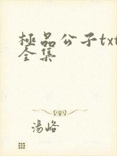 极品公子txt全集