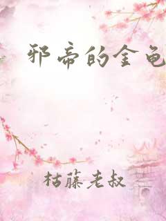 邪帝的金龟小宠