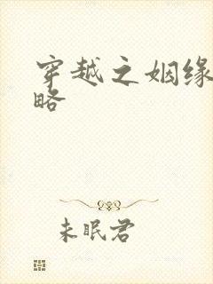 穿越之姻缘劫攻略