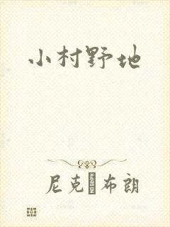 小村野地