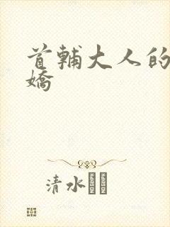 首辅大人的掌心娇