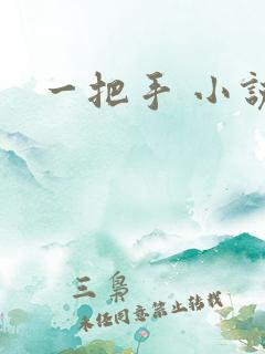 一把手 小说