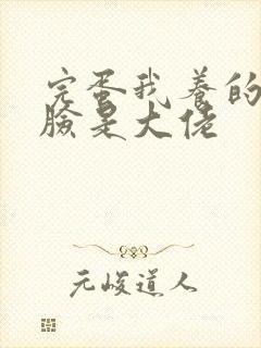 完蛋我养的小白脸是大佬