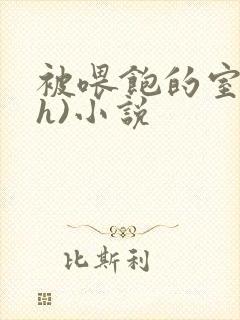 被喂饱的室友(h)小说