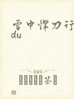 雪中悍刀行sodu