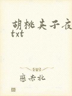 胡桃夹子夜未眠txt