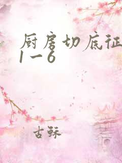 厨房切底征服岳1一6