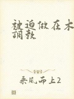 被迫做在木马上调教