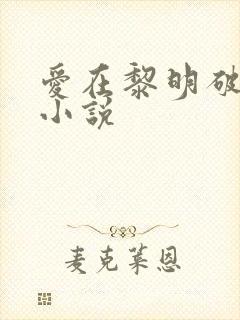爱在黎明破晓前小说
