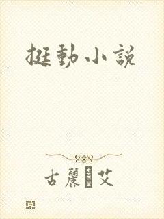 挺动小说