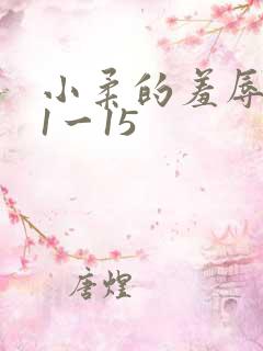 小柔的羞辱日记1一15