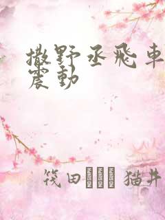 撒野丞飞车道具震动