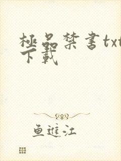 极品禁书txt下载