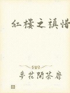 红楼之禛惜黛玉