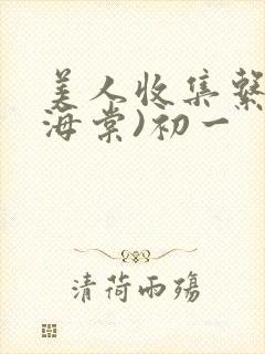 美人收集系统(海棠)初一