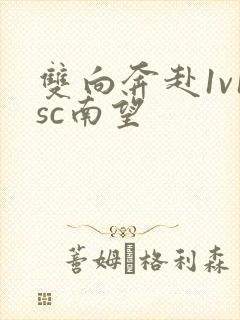 双向奔赴1v1sc南望