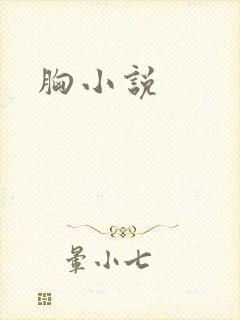 胸小说
