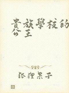 贵族学校的双面公主