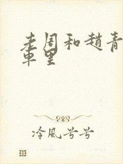 老周和赵青在货车里