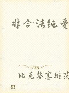 非合法纯爱