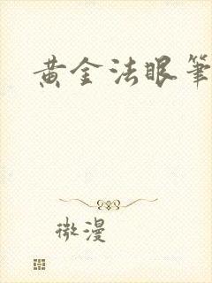 黄金法眼笔趣阁