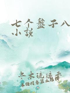 七个盘子八个碗小说