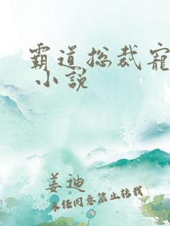 霸道总裁宠上天 小说