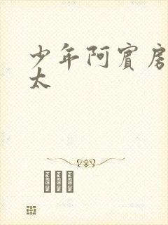 少年阿宾房东太太