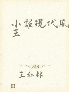 小说现代风流霸主