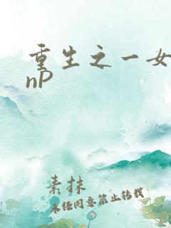 重生之一女九龙nP