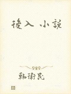 后入 小说