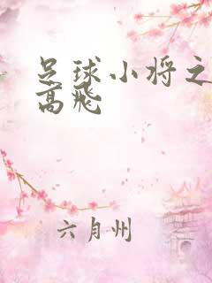 足球小将之展翅高飞